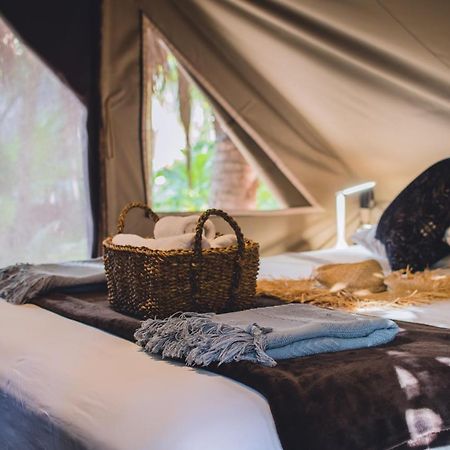 فندق Nativus Glamping & Cenote تولوم المظهر الخارجي الصورة