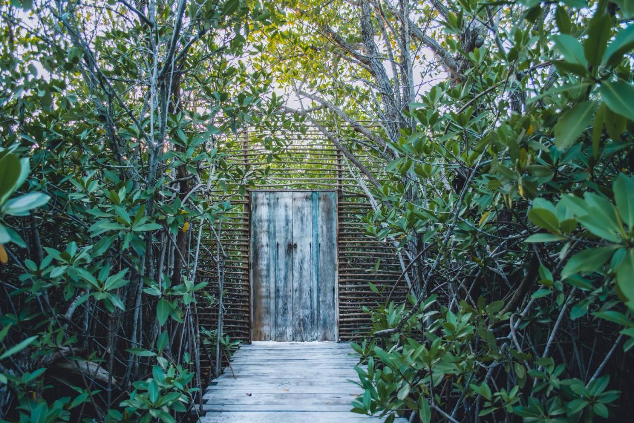 فندق Nativus Glamping & Cenote تولوم المظهر الخارجي الصورة